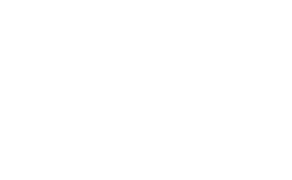 Hindu American Foundation - Holi